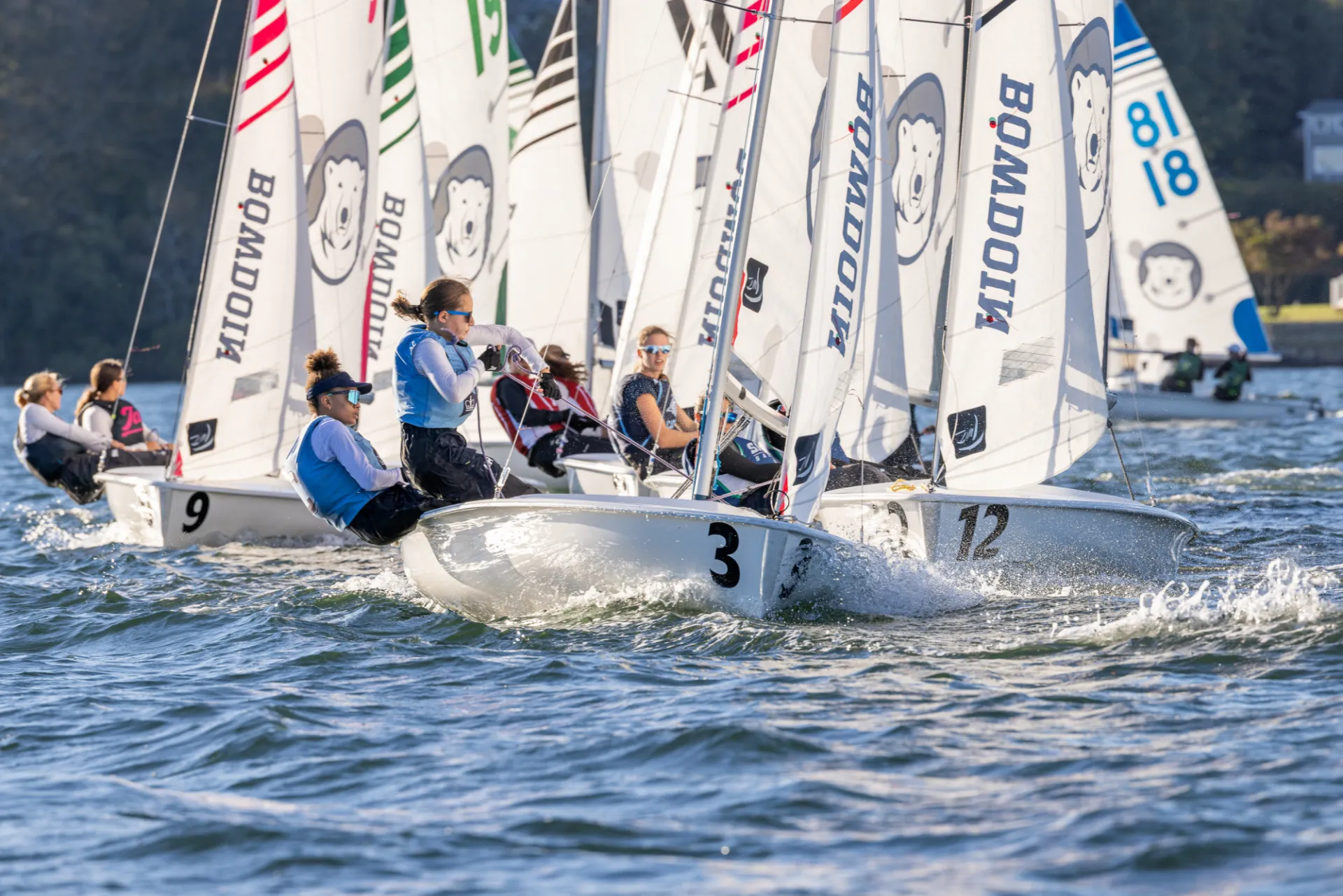 sailing